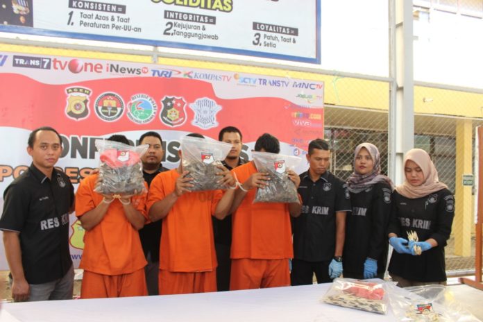 Tiga Penjual Sisik Trenggiling di Aceh Ditangkap Polisi