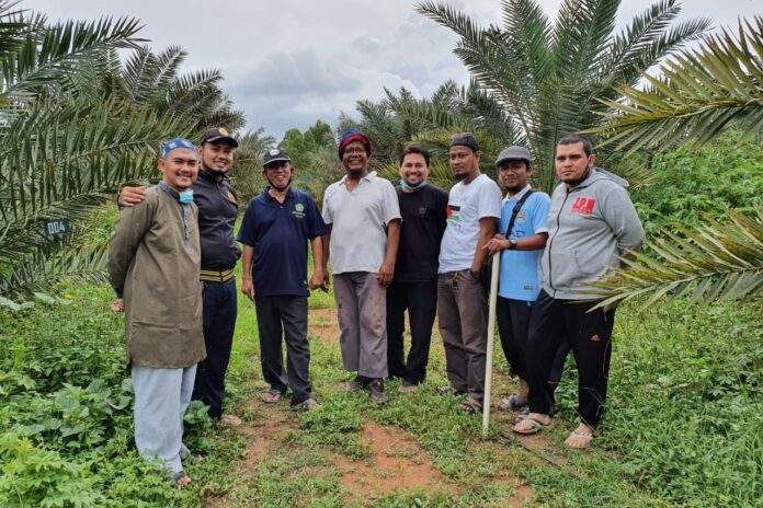 Pengurus Dayah Insan Qurani Belajar Pengelolaan Wakaf Produktif ke Kebun Kurma Barbate